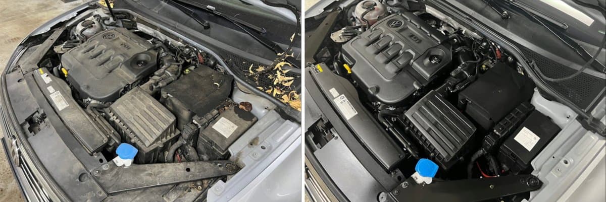 Motorwäsche: Vorher und Nachher bei Custom Autospa Berlin